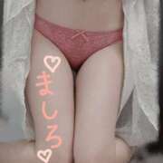 ヒメ日記 2025/03/14 12:48 投稿 白(ましろ) 人妻城 横浜本店