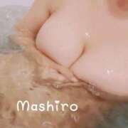 ヒメ日記 2025/03/29 17:30 投稿 白(ましろ) 人妻城 横浜本店