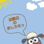 ヒメ日記 2025/04/19 23:11 投稿 白(ましろ) 人妻城 横浜本店