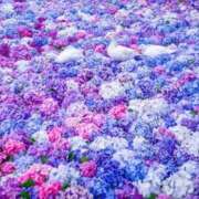 ヒメ日記 2025/05/26 07:48 投稿 白(ましろ) 人妻城 横浜本店