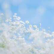 ヒメ日記 2025/09/20 05:36 投稿 白(ましろ) 人妻城 横浜本店