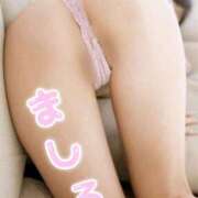 ヒメ日記 2026/02/27 09:06 投稿 白(ましろ) 人妻城 横浜本店