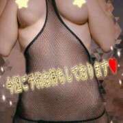 ヒメ日記 2026/03/03 06:42 投稿 白(ましろ) 人妻城 横浜本店