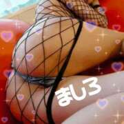 ヒメ日記 2026/03/27 10:09 投稿 白(ましろ) 人妻城 横浜本店