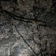 神河うの 復活🌸 全裸にされた女たちor欲しがり痴漢電車