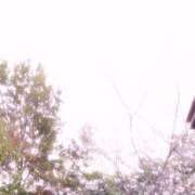 ヒメ日記 2025/03/25 08:09 投稿 石田ゆり(いしだゆり) 九州熟女　熊本店