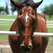 ヒメ日記 2025/05/06 15:09 投稿 石田ゆり(いしだゆり) 九州熟女　熊本店