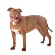 ヒメ日記 2025/05/28 11:21 投稿 石田ゆり(いしだゆり) 九州熟女　熊本店