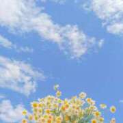 ヒメ日記 2025/07/13 19:39 投稿 石田ゆり(いしだゆり) 九州熟女　熊本店