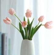 ヒメ日記 2025/07/27 06:19 投稿 石田ゆり(いしだゆり) 九州熟女　熊本店