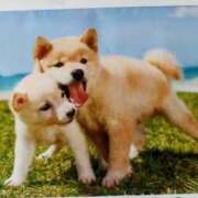 ヒメ日記 2025/08/26 08:52 投稿 石田ゆり(いしだゆり) 九州熟女　熊本店