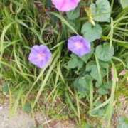 ヒメ日記 2025/11/19 09:39 投稿 石田ゆり(いしだゆり) 九州熟女　熊本店