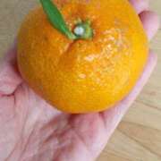 ヒメ日記 2025/11/21 13:59 投稿 石田ゆり(いしだゆり) 九州熟女　熊本店