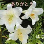 ヒメ日記 2026/01/11 22:05 投稿 石田ゆり(いしだゆり) 九州熟女　熊本店