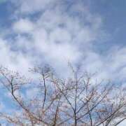 ヒメ日記 2026/03/22 08:06 投稿 石田ゆり(いしだゆり) 九州熟女　熊本店