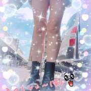 ヒメ日記 2025/04/01 06:58 投稿 りこ 京都人妻デリヘル倶楽部