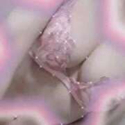 ヒメ日記 2025/04/28 04:03 投稿 藤原かえで Mrs. Dandy Ikebukuro