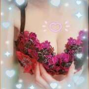 ヒメ日記 2025/08/02 16:15 投稿 藤原かえで Mrs. Dandy Ikebukuro