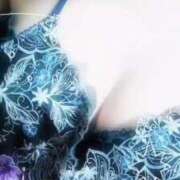 ヒメ日記 2025/10/13 05:01 投稿 藤原かえで Mrs. Dandy Ikebukuro