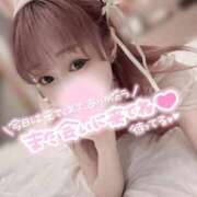 ヒメ日記 2025/04/06 02:01 投稿 舞白のん Mrs. Dandy Ikebukuro