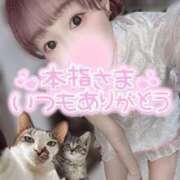 ヒメ日記 2025/10/11 23:50 投稿 舞白のん Mrs. Dandy Ikebukuro