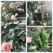 ヒメ日記 2025/05/09 12:35 投稿 佐々波エヴァ Mrs. Dandy Ikebukuro