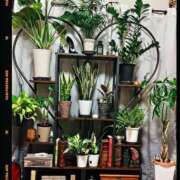 ヒメ日記 2025/10/04 12:03 投稿 佐々波エヴァ Mrs. Dandy Ikebukuro