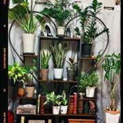 ヒメ日記 2025/10/04 12:11 投稿 佐々波エヴァ Mrs. Dandy Ikebukuro