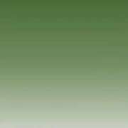 ヒメ日記 2025/11/15 15:44 投稿 佐々波エヴァ Mrs. Dandy Ikebukuro