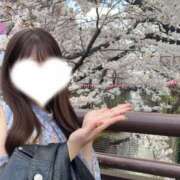 ヒメ日記 2025/04/05 10:19 投稿 みいな 鹿鳴館