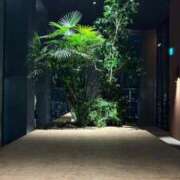 ヒメ日記 2026/07/31 15:48 投稿 イオリ Evolution1st キタ兎我野店