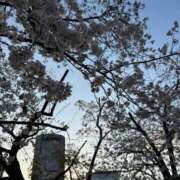 ヒメ日記 2025/04/08 17:01 投稿 イオリ Evolution1st ミナミ谷九店