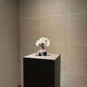 ヒメ日記 2026/02/23 19:41 投稿 イオリ Evolution1st ミナミ谷九店