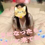 ヒメ日記 2025/05/24 09:26 投稿 小日向 熟女の風俗最終章　鶯谷店