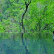 ヒメ日記 2025/07/03 00:05 投稿 冨永かがり Mrs. Dandy Ikebukuro