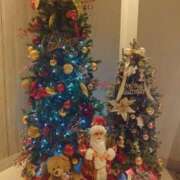 ヒメ日記 2025/11/19 04:43 投稿 冨永かがり Mrs. Dandy Ikebukuro