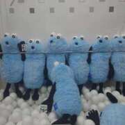 ヒメ日記 2025/12/08 18:02 投稿 冨永かがり Mrs. Dandy Ikebukuro