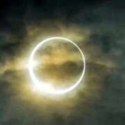 ヒメ日記 2026/02/17 23:19 投稿 冨永かがり Mrs. Dandy Ikebukuro