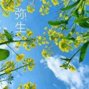 ヒメ日記 2026/03/03 00:49 投稿 冨永かがり Mrs. Dandy Ikebukuro