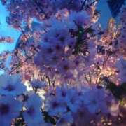 ヒメ日記 2026/04/13 23:19 投稿 冨永かがり Mrs. Dandy Ikebukuro