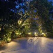 ヒメ日記 2026/04/15 06:09 投稿 冨永かがり Mrs. Dandy Ikebukuro