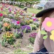 ヒメ日記 2025/03/24 15:18 投稿 西島すず Mrs. Dandy Ikebukuro