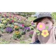 ヒメ日記 2025/05/30 22:07 投稿 西島すず Mrs. Dandy Ikebukuro