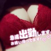 ヒメ日記 2025/04/02 11:04 投稿 さき 尼妻（あまづま）