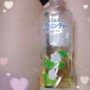 ヒメ日記 2025/04/19 00:14 投稿 さき 尼妻（あまづま）