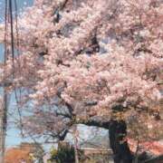 さき オキニトーク✉️↩️ 尼妻（あまづま）