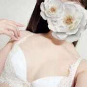 ヒメ日記 2025/10/15 00:52 投稿 永瀬あいか Mrs. Dandy Ikebukuro