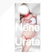 ヒメ日記 2025/04/12 01:16 投稿 浦田ねね Mrs. Dandy Ikebukuro