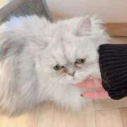 ヒメ日記 2025/03/04 19:16 投稿 みつは 夢幻 取手店