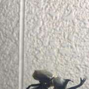 ヒメ日記 2025/07/08 07:01 投稿 みつは 夢幻 取手店